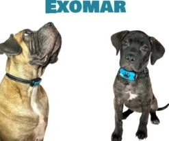 Exomar® Anti Blafband Voor Honden Blafband Anti Blaf Apparaat Blafband Zonder Schok - Diervriendelijk -Hondenbenodigdheden 1200x1003 1