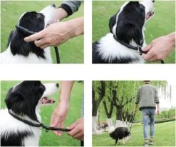 LOUZIR Cesar Millan Sliplijn Met Stop - Hondenriem - Rood - 130 Cm -Hondenbenodigdheden 1200x1003