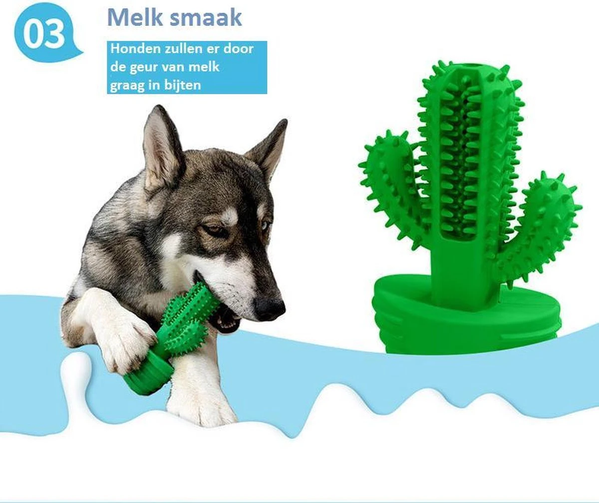 Tandenborstel + TANDPASTA Hond Melk Geur Smaak En Piep Honden Speelgoed - Cactus Dog Toy Tandverzorging Kauwbotten Hondenspeelgoed Hondenbot Kauwstaaf Tanden Puppy Hondenspeeltje Sterk Kauwspeelgoed - Dutchwide 6 Tandenborstel + TANDPASTA Hond Melk Geur Smaak En Piep Honden Speelgoed - Cactus Dog Toy Tandverzorging Kauwbotten Hondenspeelgoed Hondenbot Kauwstaaf Tanden Puppy Hondenspeeltje Sterk Kauwspeelgoed - Dutchwide - Afbeelding 4