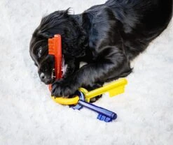 Nylabone Puppy Teething Key Flexible Geel&Blauw&Rood - Hondenspeelgoed - Wolf Tot 16kg 22 Nylabone Puppy Teething Key Flexible Geel&Blauw&Rood - Hondenspeelgoed - Wolf Tot 16kg -Hondenbenodigdheden 1200x1009 4