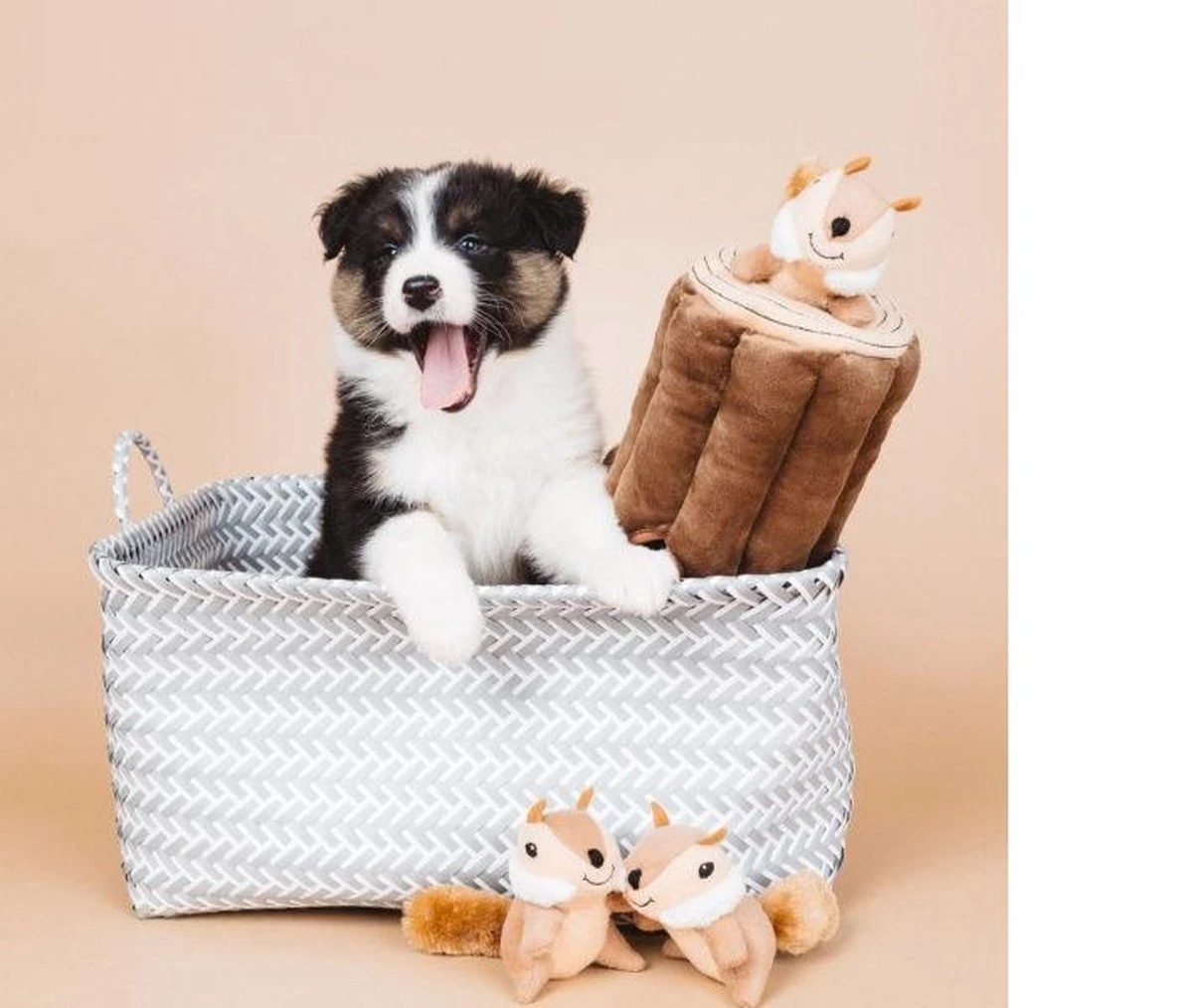 Zippy Paws - Petshop By Fringe Studio- Intelligentie Spel - Speelgoed Hond - Honden - Puzzel - Eekhoorn 5 Zippy Paws - Petshop By Fringe Studio- Intelligentie Spel - Speelgoed Hond - Honden - Puzzel - Eekhoorn - Afbeelding 3