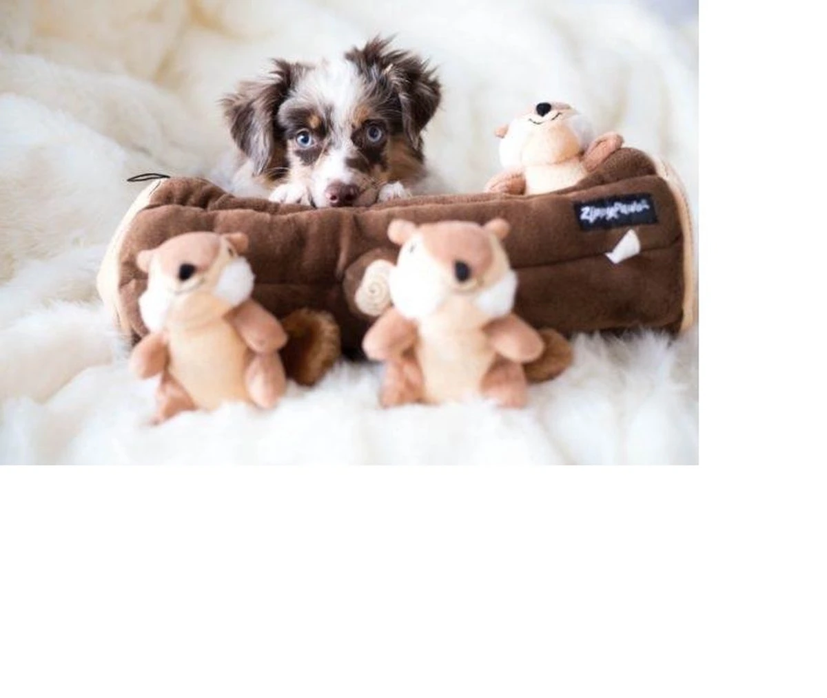 Zippy Paws - Petshop By Fringe Studio- Intelligentie Spel - Speelgoed Hond - Honden - Puzzel - Eekhoorn 6 Zippy Paws - Petshop By Fringe Studio- Intelligentie Spel - Speelgoed Hond - Honden - Puzzel - Eekhoorn - Afbeelding 4