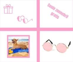 Pepets© – Hondenhanddoek – Honden Handdoek – Microvezel Handdoek – Handdoek Hond – Hondendeken – Droogdoek Hond – Dierendeken – Absorberend – 100*50CM - Beige - GRATIS Zonnebril 18 Pepets© – Hondenhanddoek – Honden Handdoek – Microvezel Handdoek – Handdoek Hond – Hondendeken – Droogdoek Hond – Dierendeken – Absorberend – 100*50CM - Beige - GRATIS Zonnebril -Hondenbenodigdheden 1200x1018