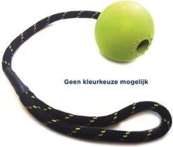 Satisfyer Happy Pet Floater Jumbo Bal - Aan Touw - Apporteren - 39 Cm 8 Satisfyer Happy Pet Floater Jumbo Bal - Aan Touw - Apporteren - 39 Cm -Hondenbenodigdheden 1200x1021 6