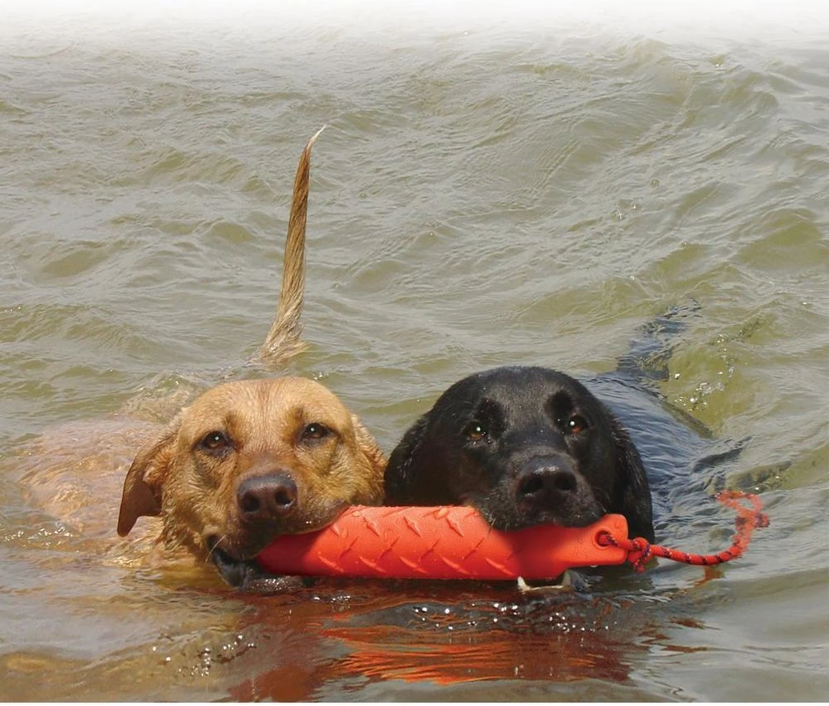 Kong Training Dummy - Hondenspeelgoed - Oranje - L - 27 Cm 6 Kong Training Dummy - Hondenspeelgoed - Oranje - L - 27 Cm - Afbeelding 4