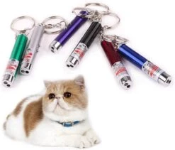 Katten Laser - Lampje Voor De Kat - 2 In 1 - Laser + Wit Lampje - Met Hanger - Katten / Honden Laserlamp - Mini - Sleutelhanger 7 Katten Laser - Lampje Voor De Kat - 2 In 1 - Laser + Wit Lampje - Met Hanger - Katten / Honden Laserlamp - Mini - Sleutelhanger -Hondenbenodigdheden 1200x1023 4