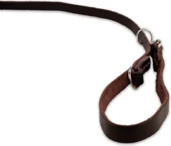 Multifunctionele Hondenriem - 220cm - Bruin - Leren Hondenriem - 100% Volnerfleer - Hondenriem Leer - Leiband Hond -Hondenbenodigdheden 1200x1026