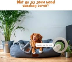 Praatknop Hond – Set Van 4 - Honden Speelgoed – Honden Training – Dogbuttons – Huisdier – Puppy Training - Hondenspeelgoed Intelligentie - Hond Opvoeden 18 Praatknop Hond – Set Van 4 - Honden Speelgoed – Honden Training – Dogbuttons – Huisdier – Puppy Training - Hondenspeelgoed Intelligentie - Hond Opvoeden -Hondenbenodigdheden 1200x1036 3