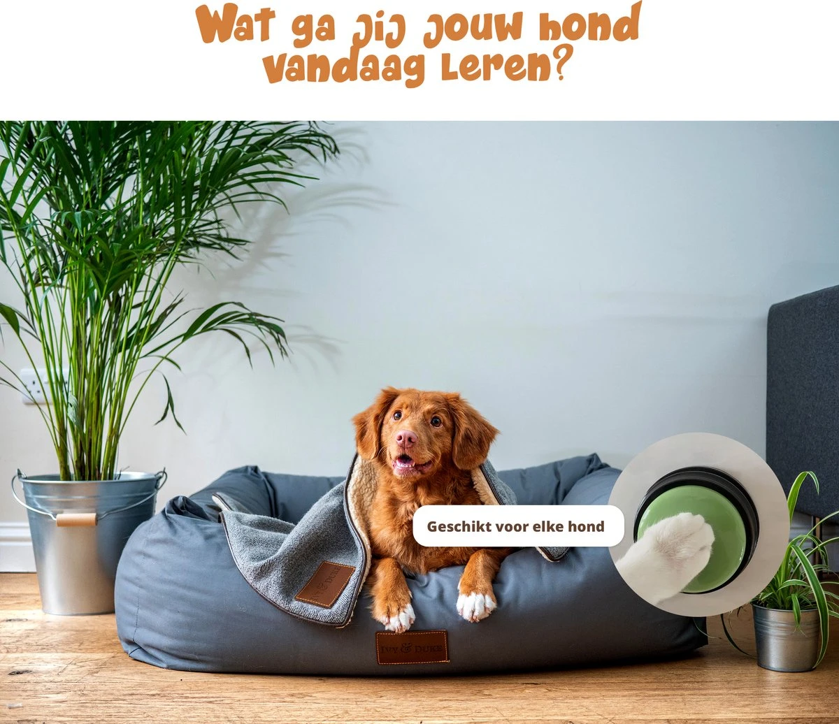 Praatknop Hond – Set Van 4 - Honden Speelgoed – Honden Training – Dogbuttons – Huisdier – Puppy Training - Hondenspeelgoed Intelligentie - Hond Opvoeden 8 Praatknop Hond – Set Van 4 - Honden Speelgoed – Honden Training – Dogbuttons – Huisdier – Puppy Training - Hondenspeelgoed Intelligentie - Hond Opvoeden - Afbeelding 6