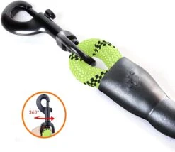 Comfortabele Hondenriem Met Gevoerd Handvat – Stevige Nylon Hondenlijn – Riem Voor Honden -Hondenbenodigdheden 1200x1040