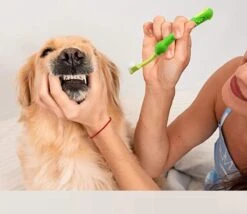 Merkloos Tandenborstel - Voor Huisdieren - Honden - 3 Zijdig - Multi-Hoek - Schoonmaken - Tanden - Slechte Adem - Tandsteen - Tandenborstel - Gezondheid - Blauw -Hondenbenodigdheden 1200x1042 1