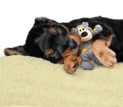 Kong Wild Knots Beer - Hondenspeelgoed - Assorti - M - 25 X 20 X 10 Cm 20 Kong Wild Knots Beer - Hondenspeelgoed - Assorti - M - 25 X 20 X 10 Cm -Hondenbenodigdheden 1200x1042 2