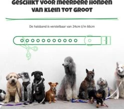Anti Blafband Met Afstandsbediening - Blafband Voor Honden - Anti Blaf Apparaat Zonder Schok - Twee In Een Trainingshalsband -Hondenbenodigdheden 1200x1055