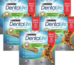 Dentalife Daily Oral Care Maxi Pack - Hondensnack L - 60 St. -Hondenbenodigdheden 1200x1060 2