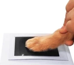 PrintMe - Paw Print Pad - Groter Formaat - Pootafdruk Maken Van Hond Of Kat - Zeer Gemakkelijk - Verbeterd Formaat! - Geen Inkt Op De Poot Van Uw Huisdier- Groot - Leuk Als Cadeau! -Hondenbenodigdheden 1200x1060 3