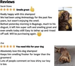 Bugalugs - Hondenshampoo - One In A Million - Alle Vachttypes - Fles Met Pompje - Vegan - 500 Ml 22 Bugalugs - Hondenshampoo - One In A Million - Alle Vachttypes - Fles Met Pompje - Vegan - 500 Ml -Hondenbenodigdheden 1200x1061 1