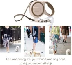 Hondenriem - Leiband Hond - Rollijn - 5 Meter - Beige - Riem Met Oprolsysteem - Hondenriem Flexi - Hondenlijn - Uitlaatriem -Hondenbenodigdheden 1200x1077 1