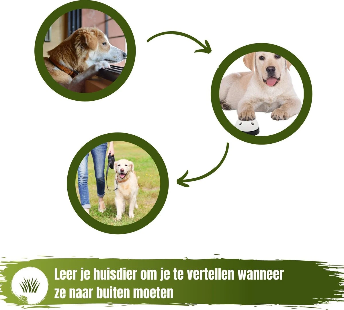 Merkloos Hondenbel Speeltje Voor Je Hond - Rood Zwart - Bel Voor Honden - Hondentraining - Honden - Training - Trainen - Hondenbel - Bel - Belletje - Hondenspeelgoed - Speeltje - Speelgoed - Puppytrainig - Puppie - Puppy - Spelen 7 Merkloos Hondenbel Speeltje Voor Je Hond - Rood Zwart - Bel Voor Honden - Hondentraining - Honden - Training - Trainen - Hondenbel - Bel - Belletje - Hondenspeelgoed - Speeltje - Speelgoed - Puppytrainig - Puppie - Puppy - Spelen - Afbeelding 5