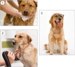 Waterblazer Hond - Hondendroger 13 Waterblazer Hond - Hondendroger -Hondenbenodigdheden 1200x1083 1