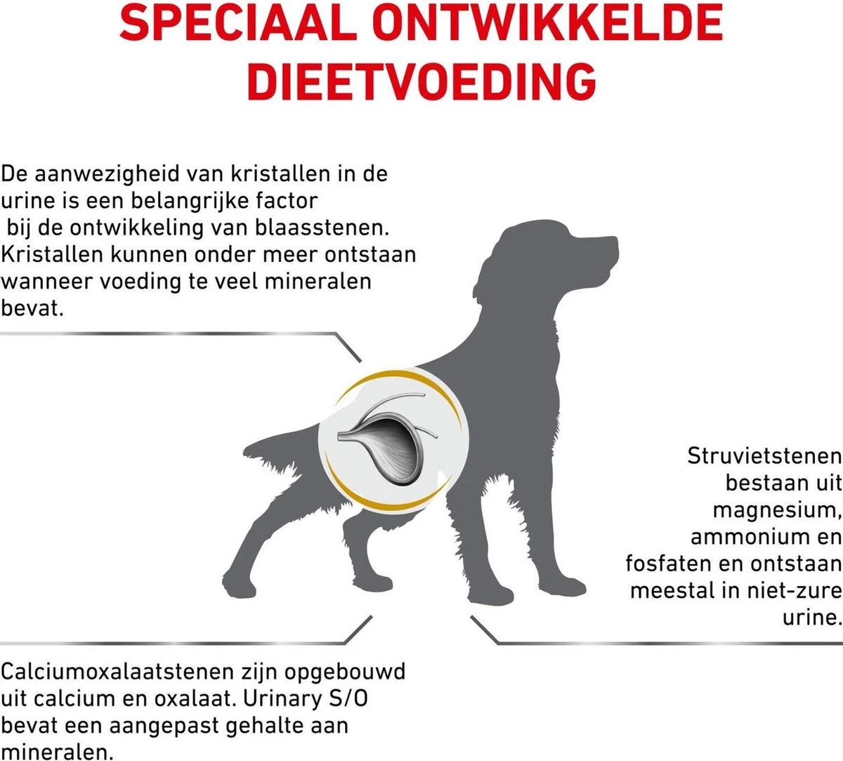 Royal Canin Urinary S/O - Hondenvoer - 7,5 Kg 6 Royal Canin Urinary S/O - Hondenvoer - 7,5 Kg - Afbeelding 4