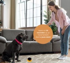Praatknop Hond – Set Van 4 - Honden Speelgoed – Honden Training – Dogbuttons – Huisdier – Puppy Training - Hondenspeelgoed Intelligentie - Hond Opvoeden 16 Praatknop Hond – Set Van 4 - Honden Speelgoed – Honden Training – Dogbuttons – Huisdier – Puppy Training - Hondenspeelgoed Intelligentie - Hond Opvoeden -Hondenbenodigdheden 1200x1087 17
