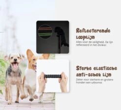 Hardloopriem Hond – Honden Riem Handsfree – Hardlopen Met Hond – 160-260 Cm Groen- Hardloopband Hond – Halsband Hond – Hondenlijn – Leiband Hond -Hondenbenodigdheden 1200x1087 8