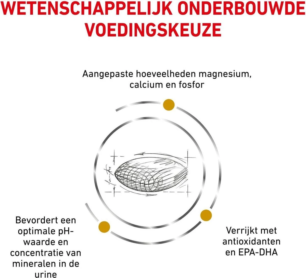 Royal Canin Urinary S/O - Hondenvoer - 7,5 Kg 7 Royal Canin Urinary S/O - Hondenvoer - 7,5 Kg - Afbeelding 5