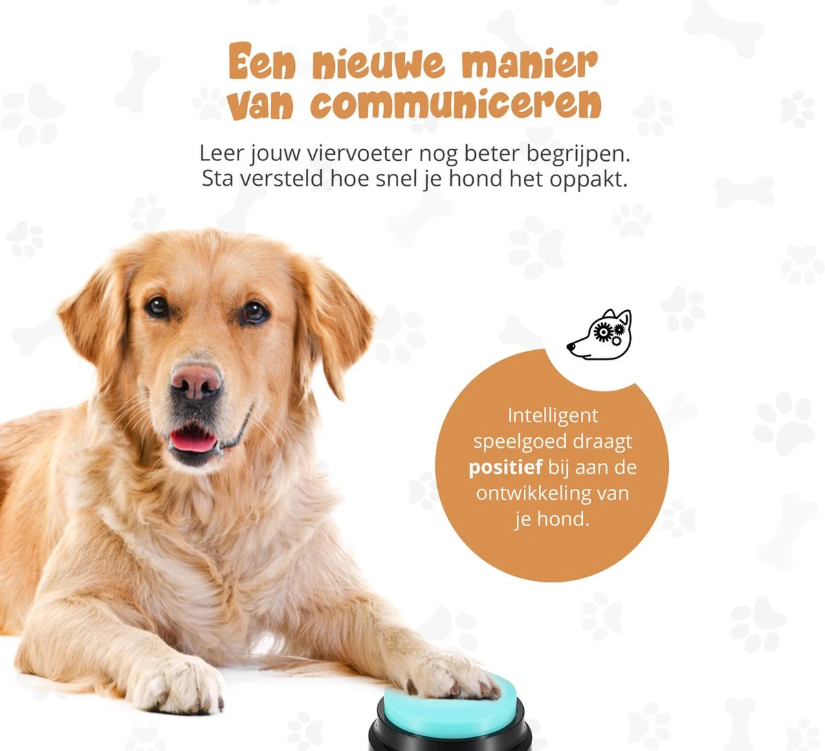 Praatknop Hond – Set Van 4 - Honden Speelgoed – Honden Training – Dogbuttons – Huisdier – Puppy Training - Hondenspeelgoed Intelligentie - Hond Opvoeden 4 Praatknop Hond – Set Van 4 - Honden Speelgoed – Honden Training – Dogbuttons – Huisdier – Puppy Training - Hondenspeelgoed Intelligentie - Hond Opvoeden - Afbeelding 2