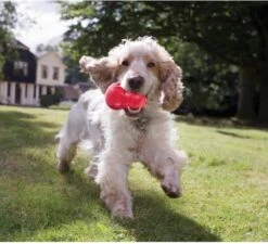 Kong Kauwbot - Hondenspeelgoed - Rood - M 27 Kong Kauwbot - Hondenspeelgoed - Rood - M -Hondenbenodigdheden 1200x1092 7