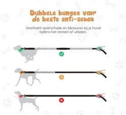 Hardloopriem Hond – Honden Riem Handsfree – Hardlopen Met Hond – 160-260 Cm Groen- Hardloopband Hond – Halsband Hond – Hondenlijn – Leiband Hond -Hondenbenodigdheden 1200x1093 1