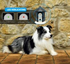 Vulpes Pets® Anti Blaf Apparaat Pro - Anti Blafband Voor Alle Honden - Luxe Hondentrainer - Diervriendelijk & Zonder Schok - Inclusief 9V Batterij - Waterbestendig - Ophangbaar - Instelbare Ultrasone Niveauregeling - 4 Standen 16 Vulpes Pets® Anti Blaf Apparaat Pro - Anti Blafband Voor Alle Honden - Luxe Hondentrainer - Diervriendelijk & Zonder Schok - Inclusief 9V Batterij - Waterbestendig - Ophangbaar - Instelbare Ultrasone Niveauregeling - 4 Standen -Hondenbenodigdheden 1200x1102 1