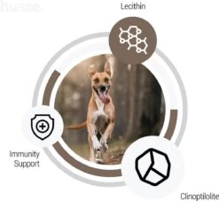 Husse Lam En Rijst - Hypoallergene Hondenbrokken - Hondenvoer - 2 Kg -Hondenbenodigdheden 1200x1104 1