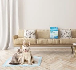 Nobleza 48DHD - Puppy Training Pads - 60 X 40 Cm - Zindelijkheidstraining - 50 Stuks -Hondenbenodigdheden 1200x1105 1