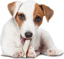 Nylabone Harde Bijters Kluif - Kip - Voor Honden Tot 15 Kg -Hondenbenodigdheden 1200x1107 7