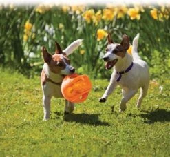 Kong Jumbler Ball - Assorti Hondenspeelgoed - L/XL - Ø18 Cm 17 Kong Jumbler Ball - Assorti Hondenspeelgoed - L/XL - Ø18 Cm -Hondenbenodigdheden 1200x1108 5