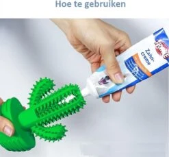 Tandenborstel + TANDPASTA Hond Melk Geur Smaak En Piep Honden Speelgoed - Cactus Dog Toy Tandverzorging Kauwbotten Hondenspeelgoed Hondenbot Kauwstaaf Tanden Puppy Hondenspeeltje Sterk Kauwspeelgoed - Dutchwide 21 Tandenborstel + TANDPASTA Hond Melk Geur Smaak En Piep Honden Speelgoed - Cactus Dog Toy Tandverzorging Kauwbotten Hondenspeelgoed Hondenbot Kauwstaaf Tanden Puppy Hondenspeeltje Sterk Kauwspeelgoed - Dutchwide -Hondenbenodigdheden 1200x1113 7