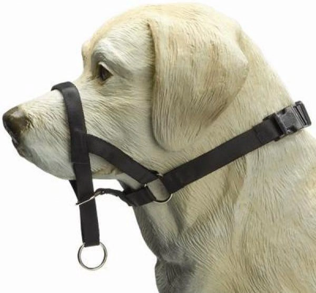 Beeztees Dog Control - Halsband Hond - Zwart - M-Speciaal 4 Beeztees Dog Control - Halsband Hond - Zwart - M-Speciaal - Afbeelding 2