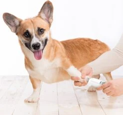 Auronic Elektrische Nagelvijl - Voor Dieren - Oplaadbaar - Draadloos - Diamant Vijlkop - Hond/Katten - Wit -Hondenbenodigdheden 1200x1115 1