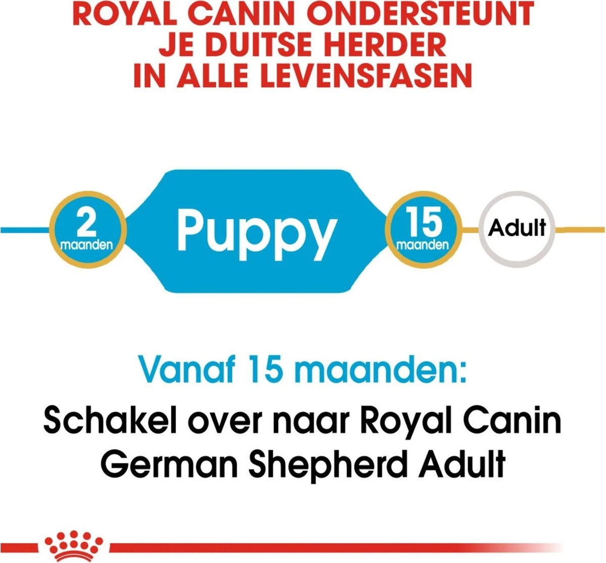 Royal Canin German Shepherd Puppy - Hondenvoer - 12 Kg 14 Royal Canin German Shepherd Puppy - Hondenvoer - 12 Kg - Afbeelding 12