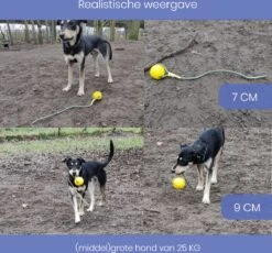 Leashr Honden Speelgoed - Bal Aan Touw - 2 Stuks - Touw - Koord - Kauwspeelgoed - Apporteer - Hond - 7 CM -Hondenbenodigdheden 1200x1119 4