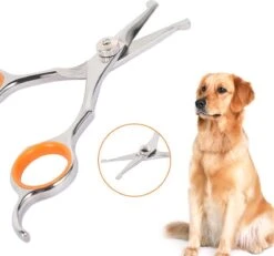 Merkloos Premium Gebogen Trimschaar Honden - Huisdier Trimmen - Hoofd, Poten Ogen & Oren - Kat & Hond Knippen - Veilige Schaar 14 Merkloos Premium Gebogen Trimschaar Honden - Huisdier Trimmen - Hoofd, Poten Ogen & Oren - Kat & Hond Knippen - Veilige Schaar -Hondenbenodigdheden 1200x1120 5