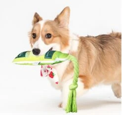 Merkloos Hondenspeelgoed - Piepspeelgoed - Trekspeeltje - Chocobruin -Hondenbenodigdheden 1200x1127 3