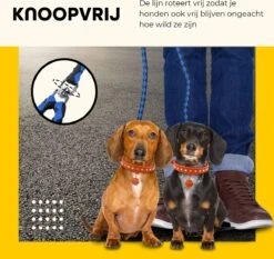 KCMultisupplies Dubbele Hondenriem Voor 2 Honden - Duo Hondenlijn Voor Hond - 120cm - Hondenleiband Riem -Hondenbenodigdheden 1200x1130