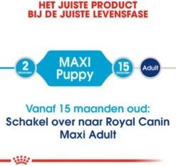 Royal Canin Maxi Junior - Hondenvoer - 10 Kg 13 Royal Canin Maxi Junior - Hondenvoer - 10 Kg -Hondenbenodigdheden 1200x1132 2