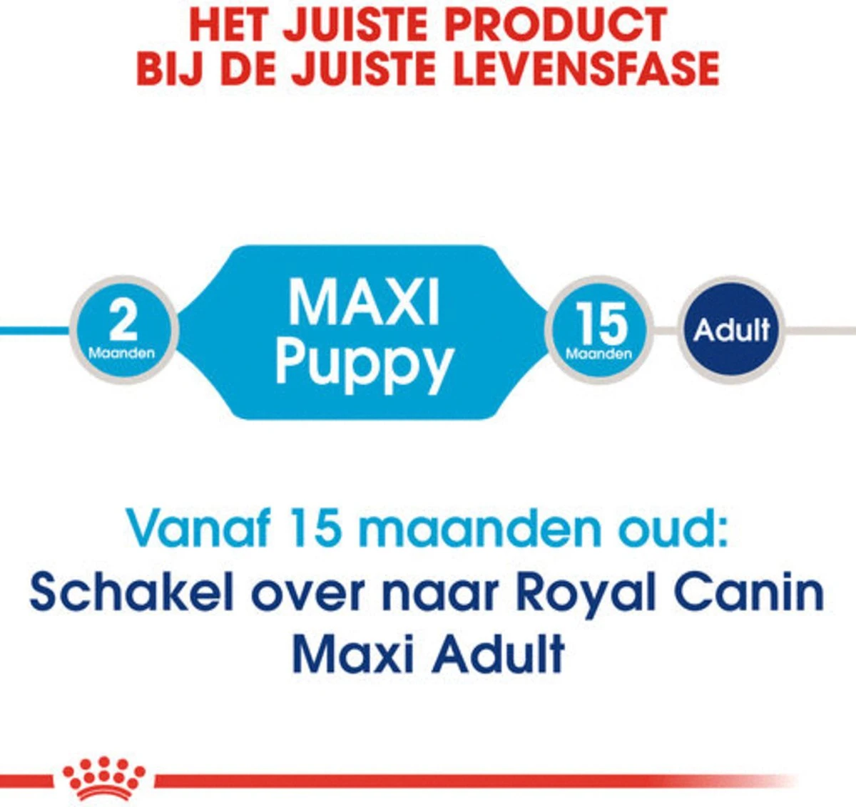 Royal Canin Maxi Junior - Hondenvoer - 10 Kg 6 Royal Canin Maxi Junior - Hondenvoer - 10 Kg - Afbeelding 4