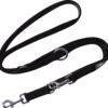 DDOXX Hondenriem Air Mesh, 3-voudig Verstelbaar, 2m | Voor Kleine & Grote Honden | Dubbele Riem Twee Honden Kat Puppy | Tug Leash Large | Lead Leash Small | Walking Leash Puppy Leash | Zwart, M 1 DDOXX Hondenriem Air Mesh, 3-voudig Verstelbaar, 2m | Voor Kleine & Grote Honden | Dubbele Riem Twee Honden Kat Puppy | Tug Leash Large | Lead Leash Small | Walking Leash Puppy Leash | Zwart, M -Hondenbenodigdheden 1200x1133