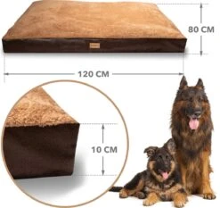 PrimePlus Hondenkussen XL Bruin/Cognac - 120x80x10 CM - Zacht En Luxe Hondenmand - Hondenbed - Hondenmat - Orthopedisch Hondenkussens 13 PrimePlus Hondenkussen XL Bruin/Cognac - 120x80x10 CM - Zacht En Luxe Hondenmand - Hondenbed - Hondenmat - Orthopedisch Hondenkussens -Hondenbenodigdheden 1200x1134 8
