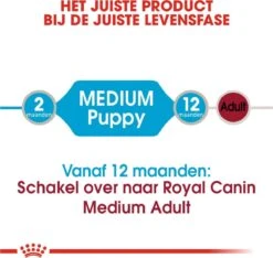 Royal Canin Shn Medium Puppy Pouch - Hondenvoer - 10 X 140 G 30 Royal Canin Shn Medium Puppy Pouch - Hondenvoer - 10 X 140 G -Hondenbenodigdheden 1200x1135 10