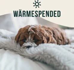 Happilax Fluffy Hondendeken Voor Auto & Bank, Wasbare Hondenmat Voor Op Reis, Grijs, L -Hondenbenodigdheden 1200x1139 3