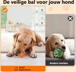 Good Experience Interactieve Hondenbal 3.0 – Honden Speelgoed Intelligentie – Puppy Speelgoed – Hondenspeeltjes – De Enige Die Werkt Met Afstandsbediening – De Veilige Bal Voor Jouw Hond – One Size – Oranje 12 Good Experience Interactieve Hondenbal 3.0 – Honden Speelgoed Intelligentie – Puppy Speelgoed – Hondenspeeltjes – De Enige Die Werkt Met Afstandsbediening – De Veilige Bal Voor Jouw Hond – One Size – Oranje -Hondenbenodigdheden 1200x1139 8